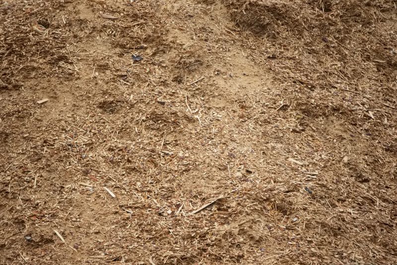 Landscape Maintenance