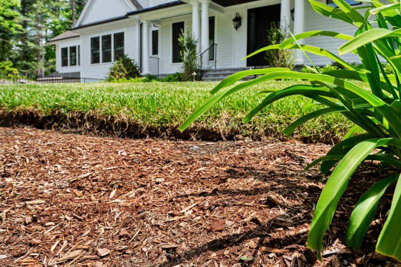 Black Mulch Installation in Ventura County, CA