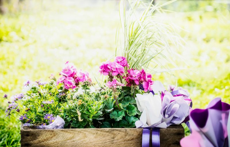 Bush Planting Service in Ventura County, CA