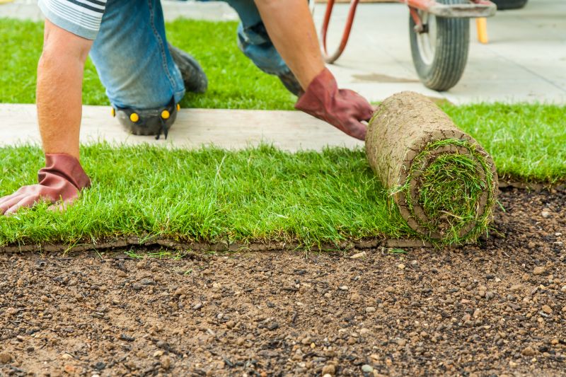 Dryscape Landscaping in Ventura County, CA