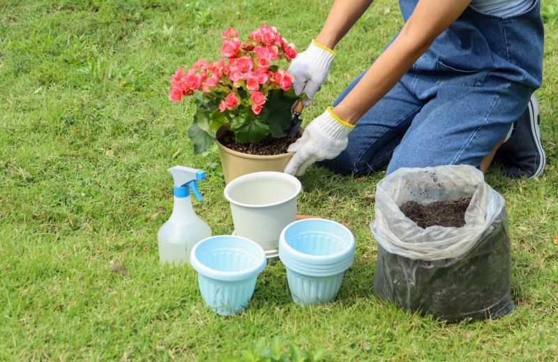 Flower Planting Service in Honolulu, HI