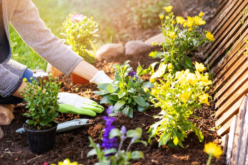 Garden Care Service in Ventura County, CA