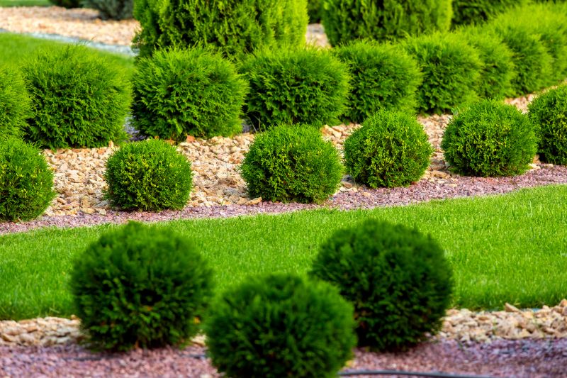 Ground Cover Planting in Honolulu, HI