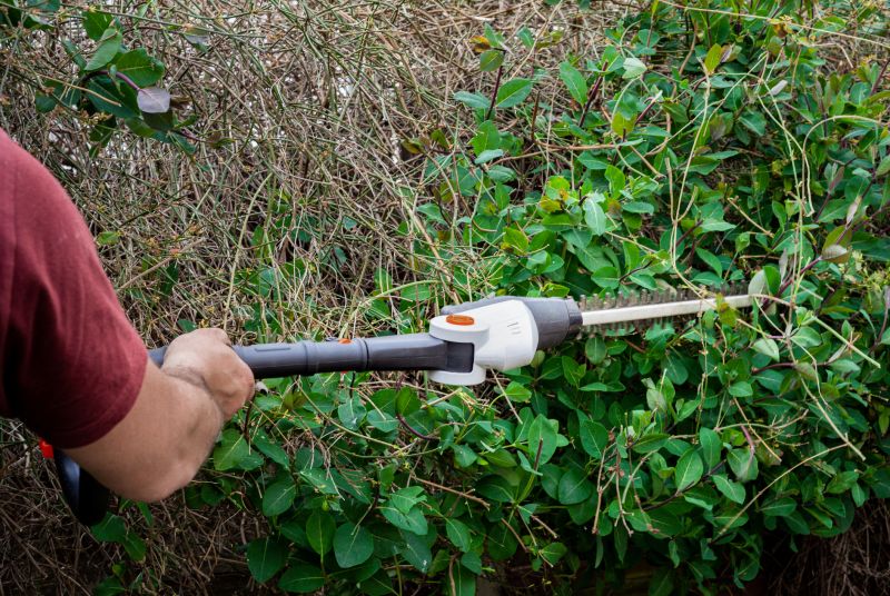 Hedge Landscaping in Honolulu, HI