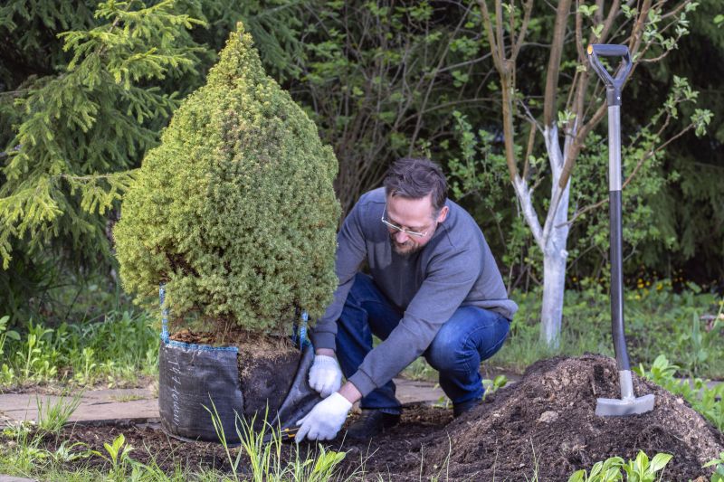 Orchard Planting in Ventura County, CA