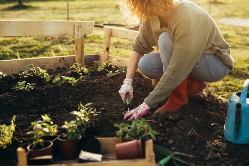 Planting Service in Ventura County, CA