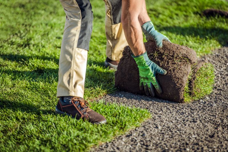 Residential Landscaping in Honolulu, HI