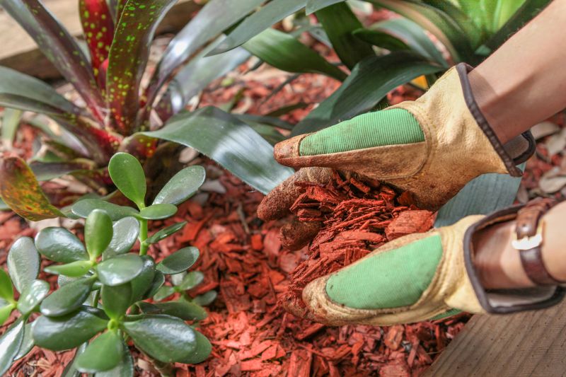 Shredded Mulch Installation in Honolulu, HI