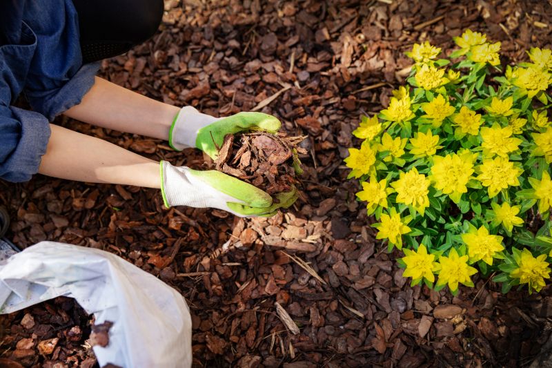 Shredded Mulch Service in Honolulu, HI