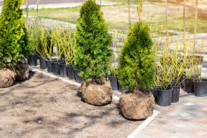 Shrub Landscaping in Ventura County, CA
