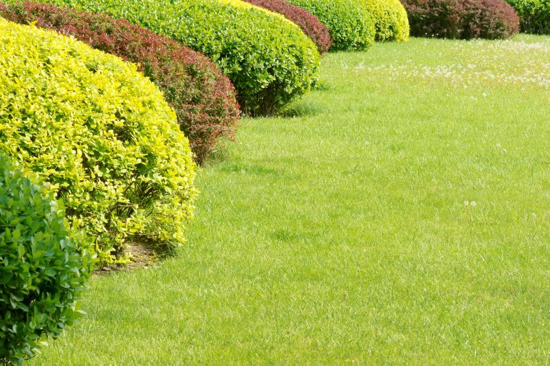 Shrub Replacement in Honolulu, HI