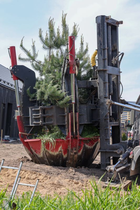 Tree Planting Service in Honolulu, HI