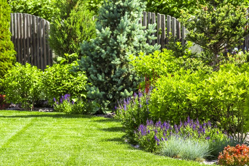 Weeding And Mulching in Honolulu, HI