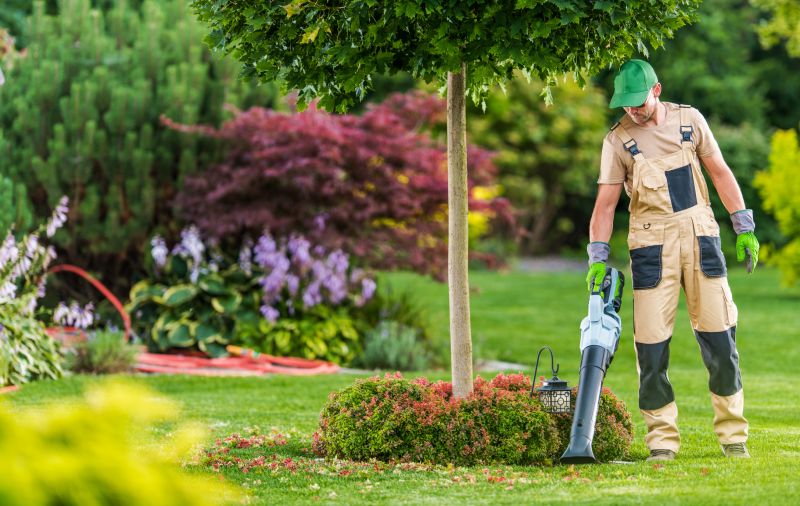 Full-Service Landscaping Companies