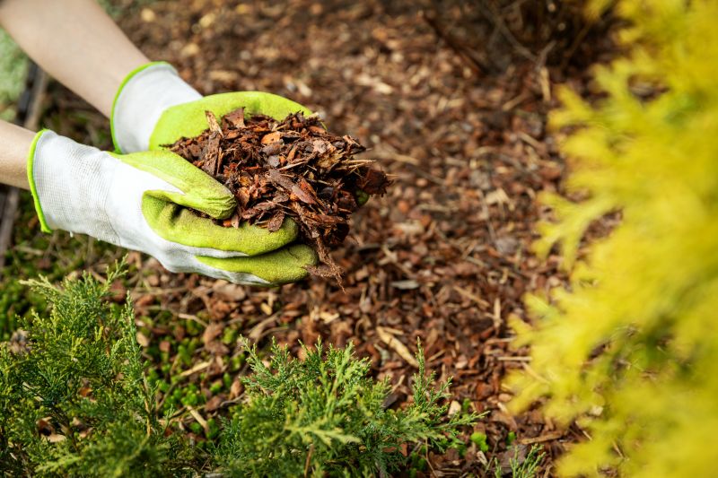 Garden and Tree Care Services