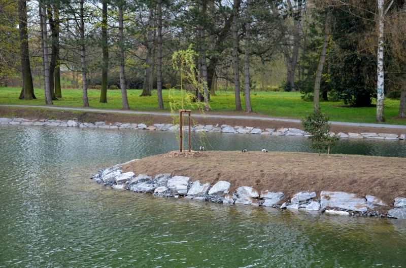 Deck Landscaping Service in Honolulu, HI